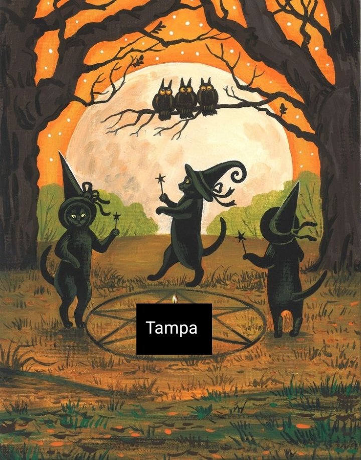 yoongisimp09's tweet photo. #Tampa got :
Magic Shop 
Boy with Luv
Pied Piper
BaepSae
Oh hell No I'm coming for you Tampa 
#BTS_ARİRANG #army https://t.co/vm3afCDwSw