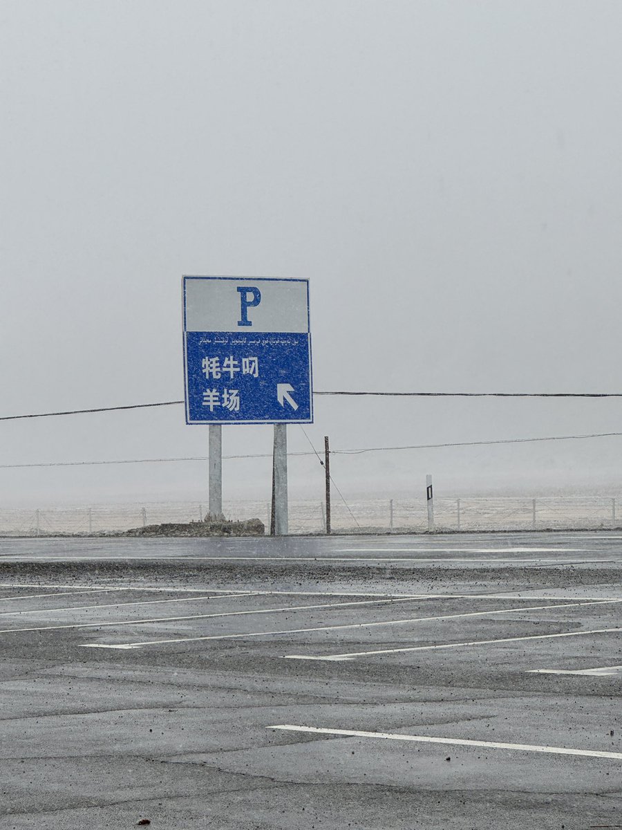李亦靓 tweet media