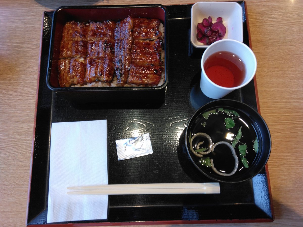 megubuta's tweet photo. 珍しく早く帰ってこれたので、羽生パーキングエリアまで絶食させられ、うな重とぶたの生姜焼き
ぶたちゃんはウナギが大好物なのだ https://t.co/HY9awwN1TW