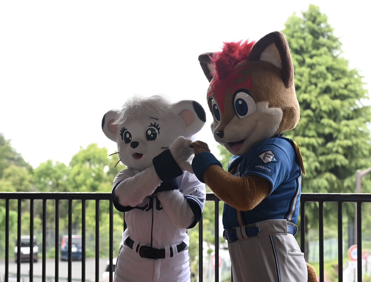 イロー tweet media