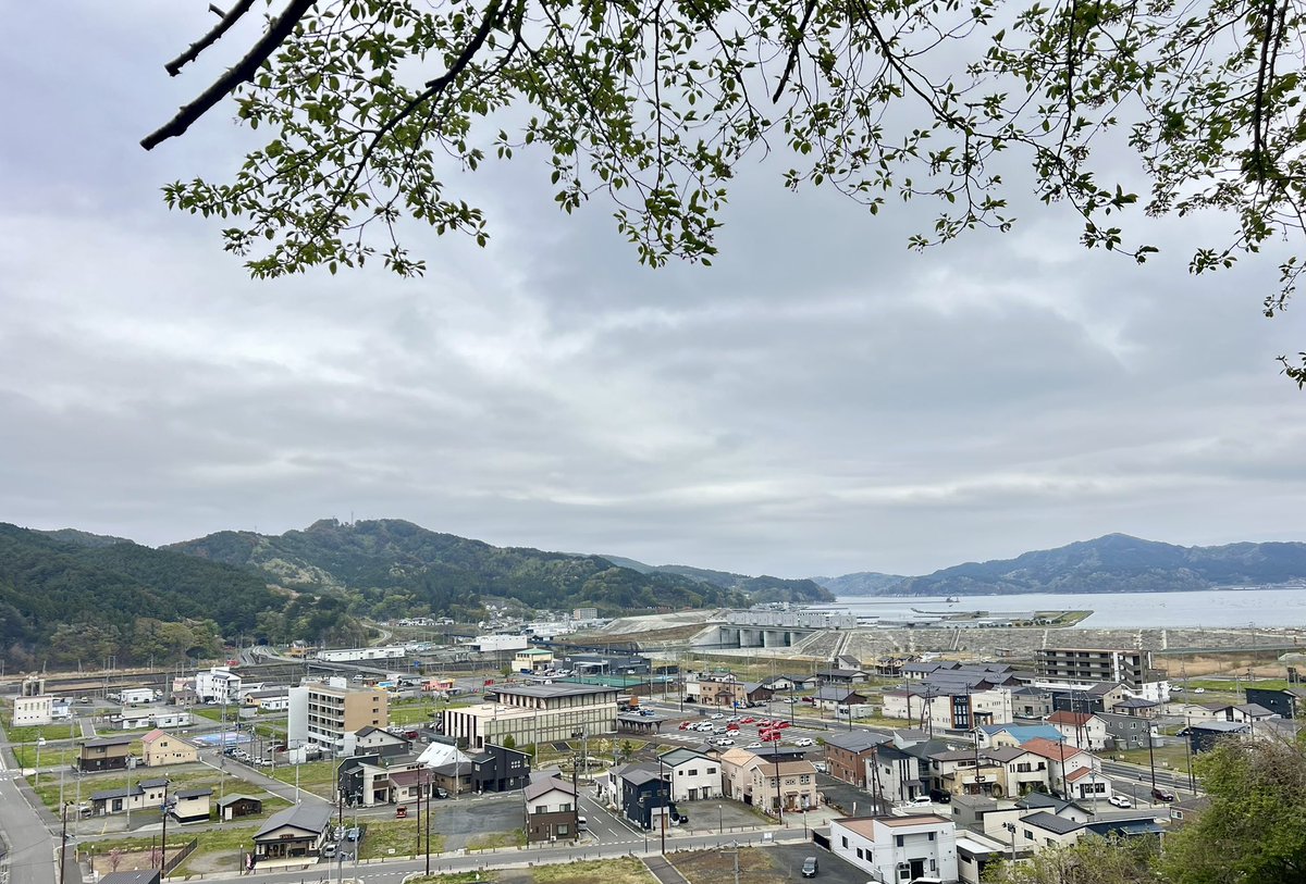 にゃおん🌸通信@放送大学生 tweet media