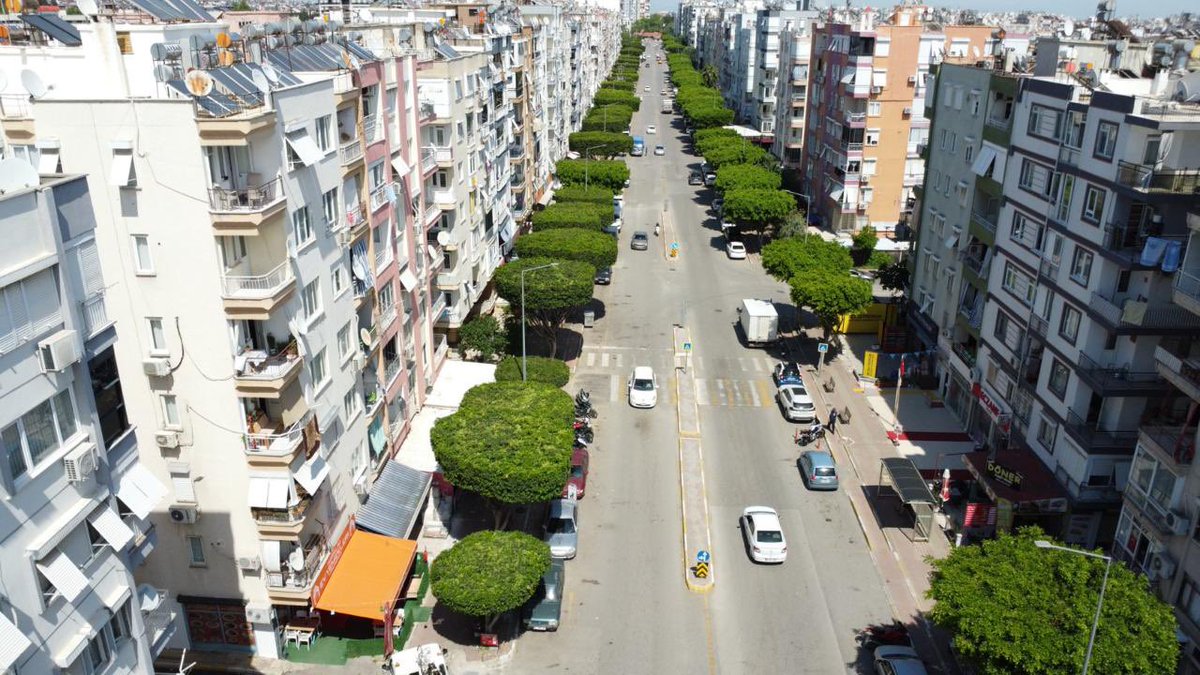 kepezbelediyesi's tweet photo. Kepez’de ağaçlar da bakımlı…
Çünkü onların da bir berberi var. 🌳✂️

Ekiplerimiz, hem daha sağlıklı büyümeleri hem de şehrimize estetik bir görünüm kazandırmak için ağaçlarımızın bakımını özenle sürdürüyor. https://t.co/kGFWhJQT2T
