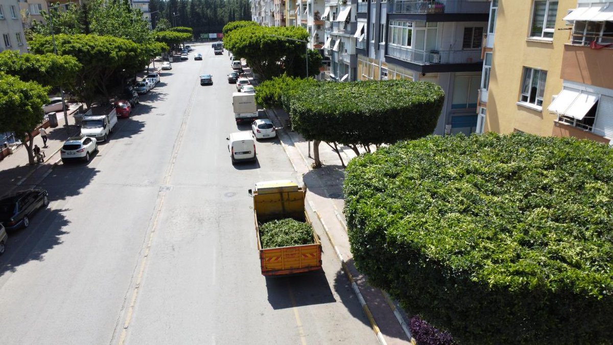 kepezbelediyesi's tweet photo. Kepez’de ağaçlar da bakımlı…
Çünkü onların da bir berberi var. 🌳✂️

Ekiplerimiz, hem daha sağlıklı büyümeleri hem de şehrimize estetik bir görünüm kazandırmak için ağaçlarımızın bakımını özenle sürdürüyor. https://t.co/kGFWhJQT2T