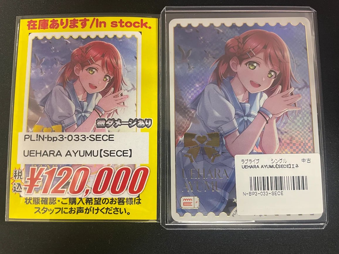 お取り置き・札付き✨️ぼのぼのさん苗・臼田リンゼアナ‪✕‬ラパス ぼのぼのさん苗 リラシナ☓ラウ165 札付き ポットごと発送(多肉、多肉