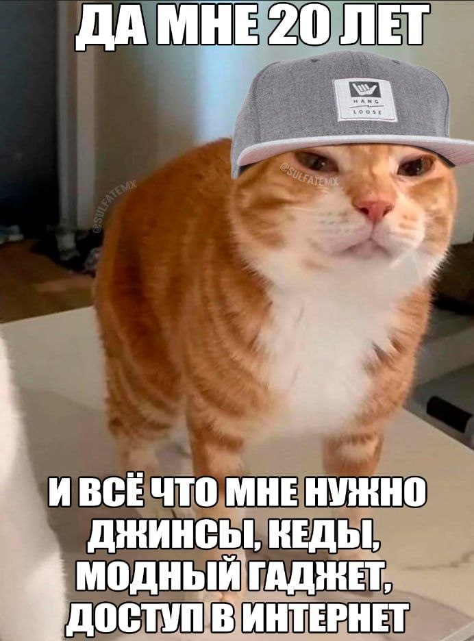 Имморальный средний класс (@richandimmoral) on Twitter photo 