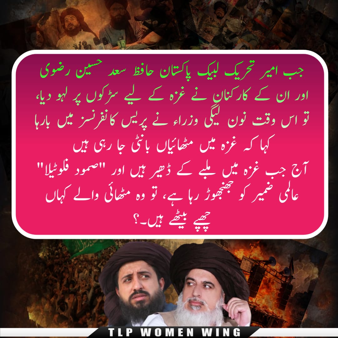 میرب ✨🕊️ tweet media