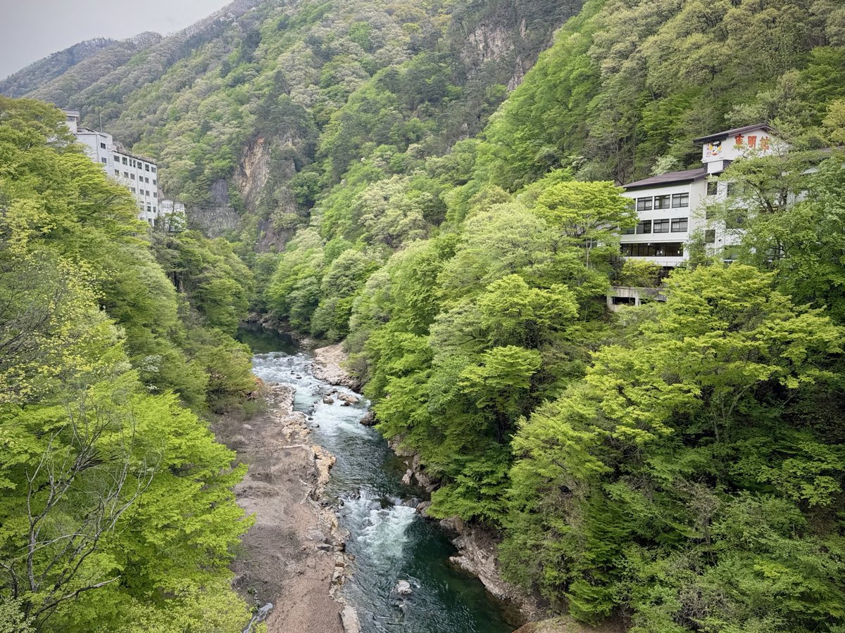 ミンチカス tweet media