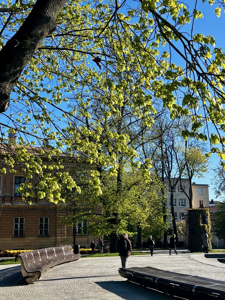 Miasto_Lublin's tweet photo. Miasto budzi się w promieniach słońca ☀️ To będzie dobry dzień 💪🏻 Miłego dnia, #Lublin! 💛
#DzienDobry #PlacLitewski #Sroda https://t.co/R4Q5Fw5xpq