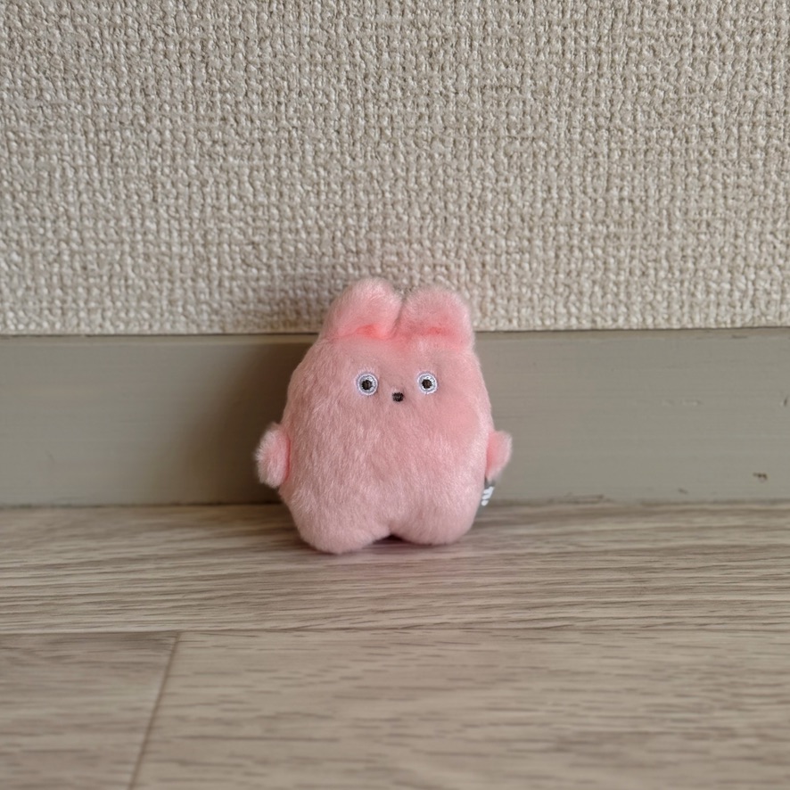 きょむたん tweet media