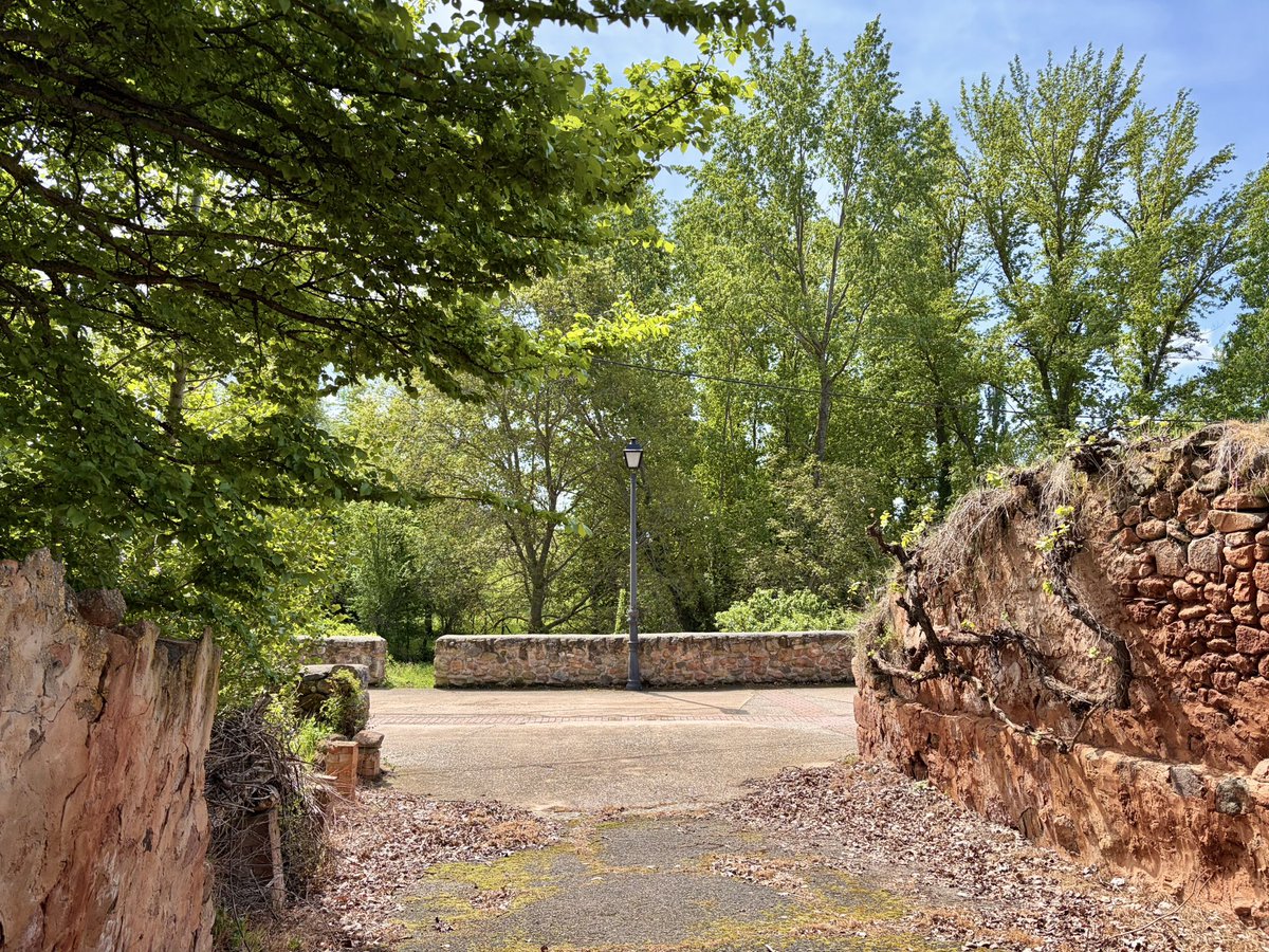 nachoramosc's tweet image. Esta exuberancia verde no solo define el paisaje, sino también la identidad y la calidad de vida del pueblo. #Guadalajara #Castilla