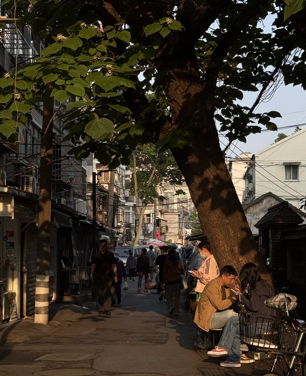 haha🇨🇳（互fo 100%） tweet media