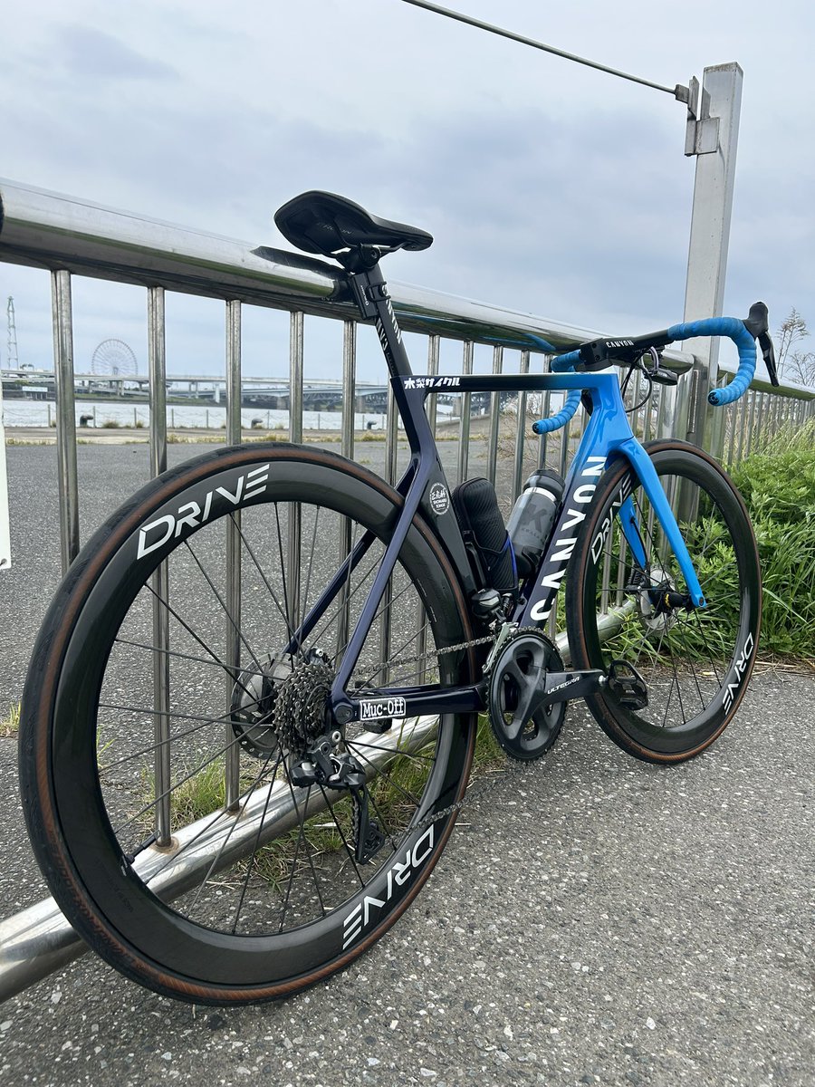 SAKAE tweet media