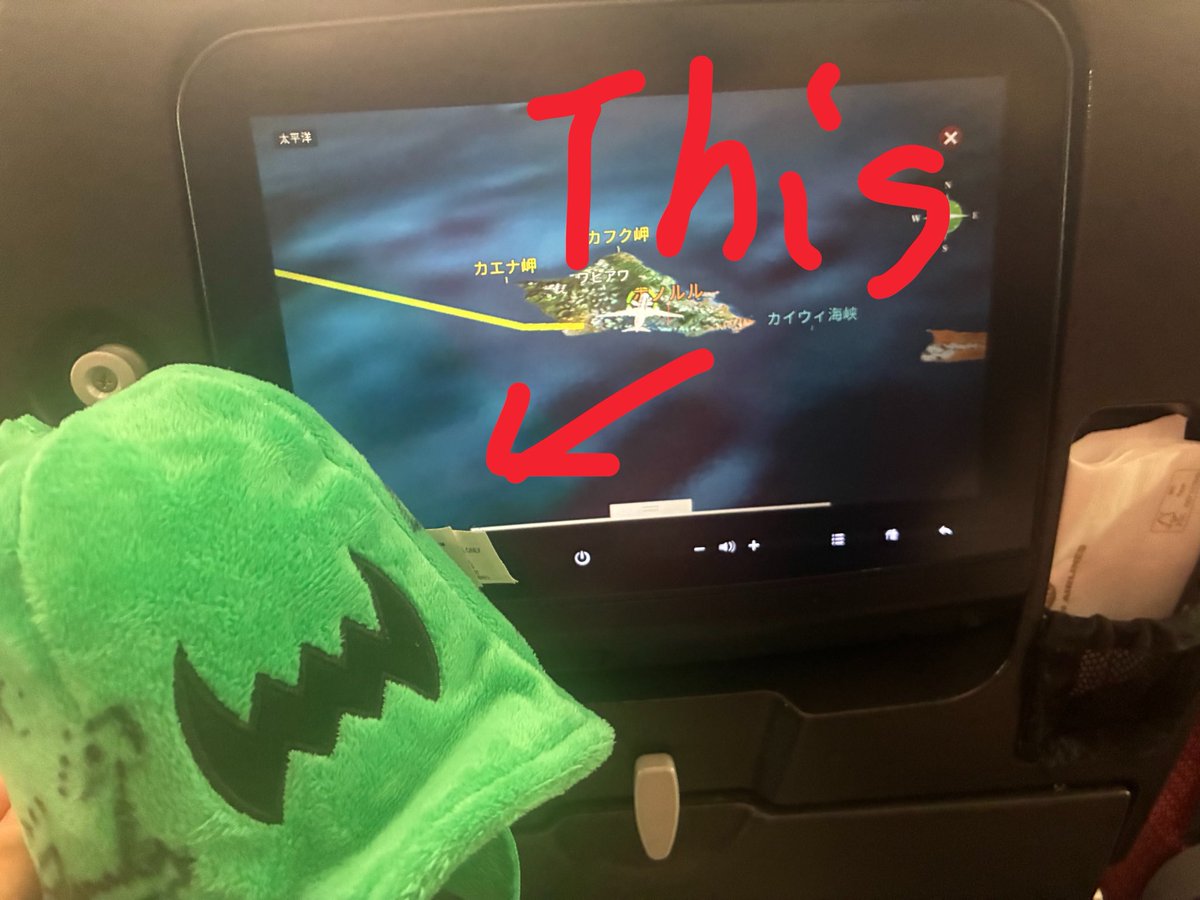 Answer_dog's tweet image. 【拡散希望:探しています！】
ソニックシリーズの"ジェイド・ゴースト"という名前のぬいぐるみを探しています。
大切な方々からのサインを頂いた世界に一つしかない物であり、私にとってかけがえの無い大切なものです。
空港に忘れてしまったため探しましたが、見つかりませんでした。
下に詳細を。