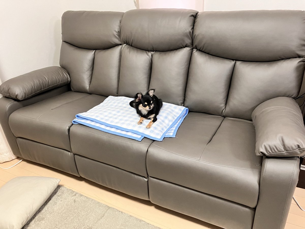 たくみママ tweet media