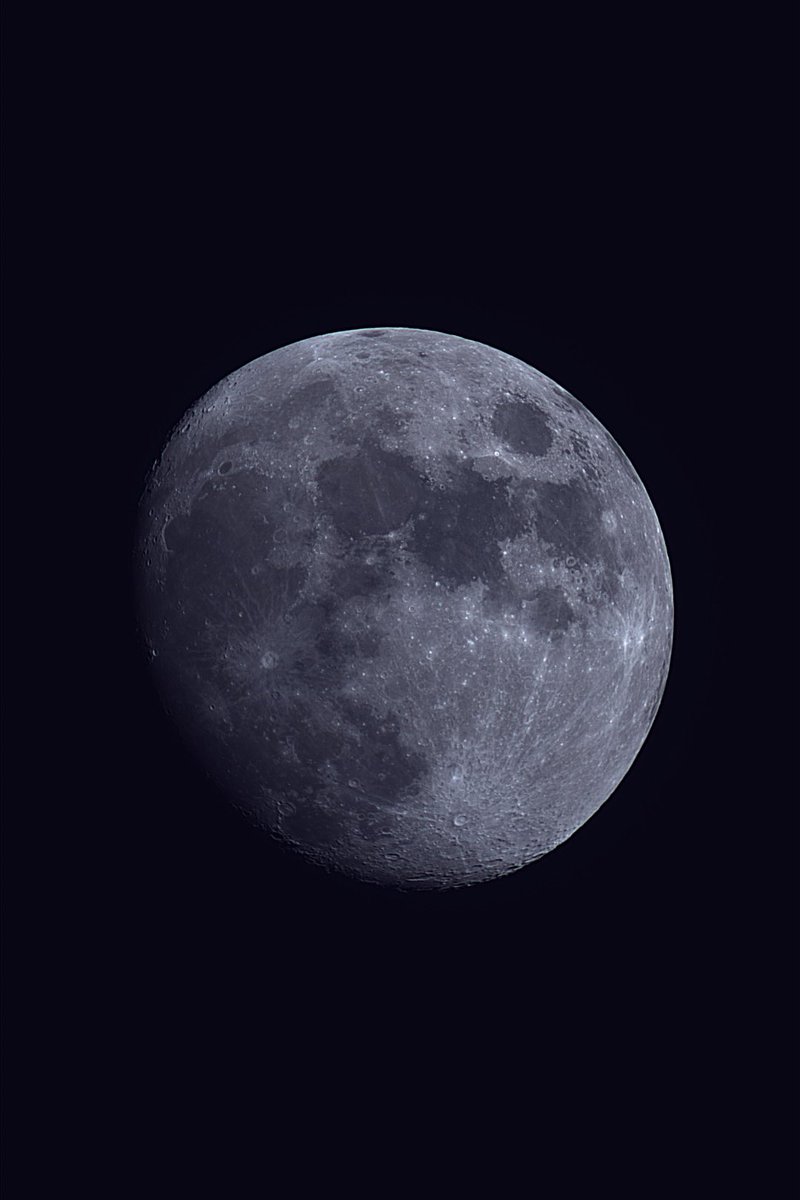 Rad van Mad tweet media