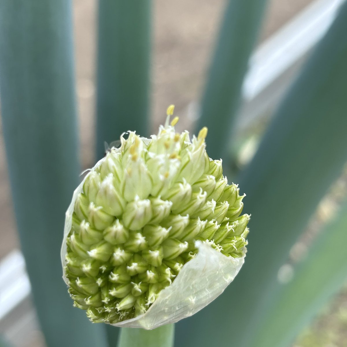 welder12879755's tweet image. #What’s^_^