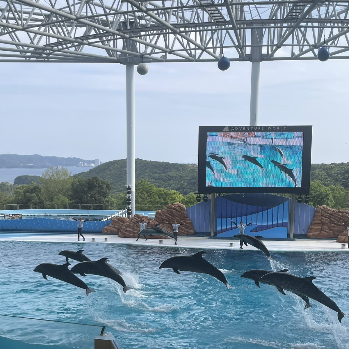 イルカちゃんカワイイ🐬💖 #smiles
