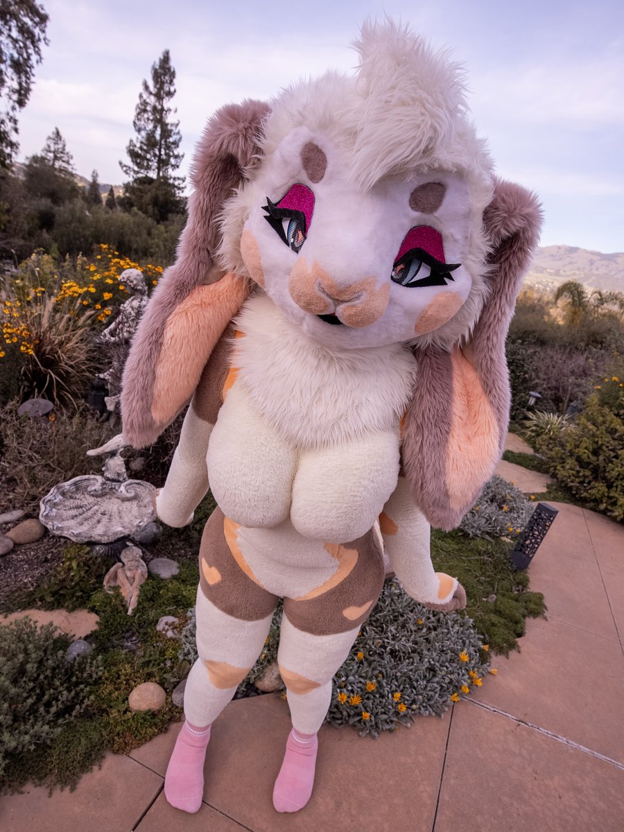 Naomi 🐰💖 tweet media