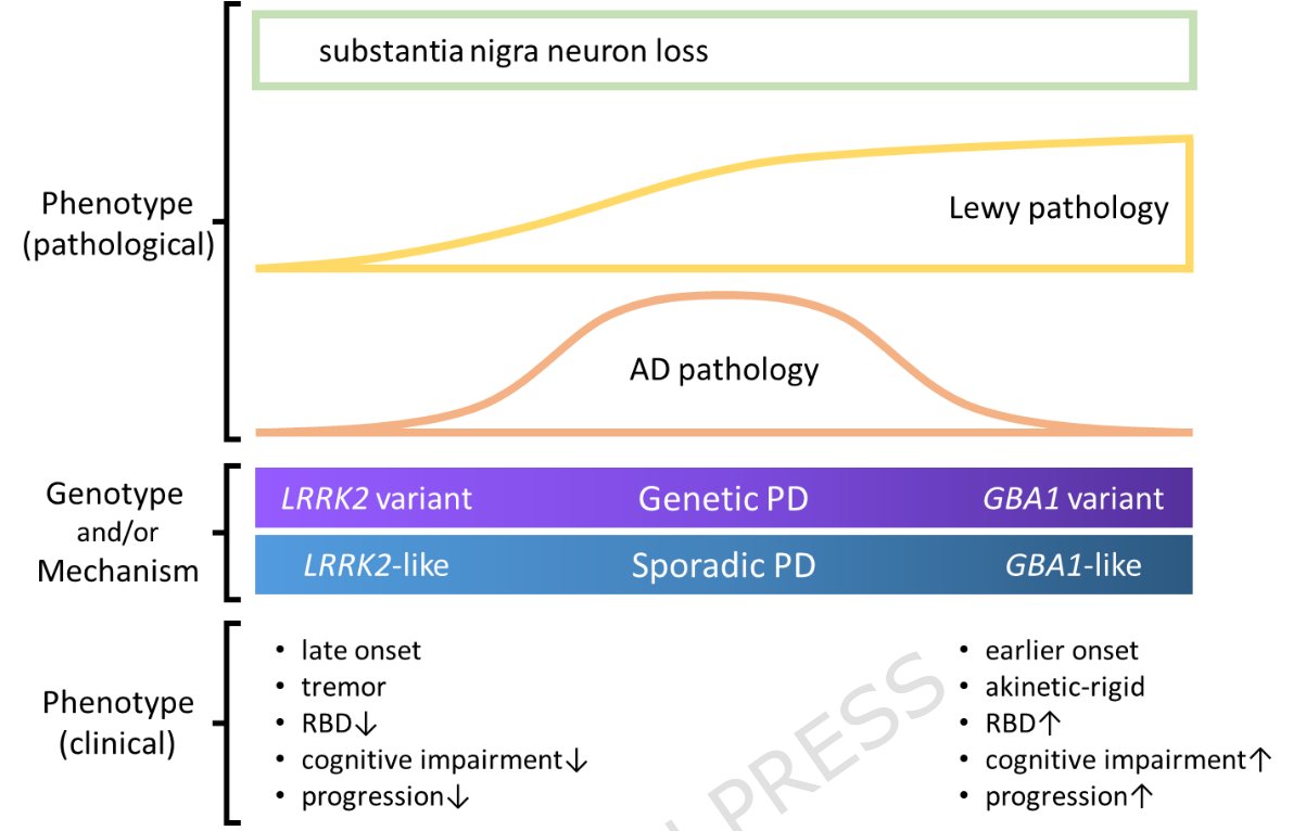 ScienceofPD's tweet image. New review summarizes neuropath. findings in #Parkinsons associated with pathogenic variants in GBA1 or LRRK2, highlighting how these genetic forms represent neuropathological subtypes at opposite ends of a spectrum
link.springer.com/article/10.118…