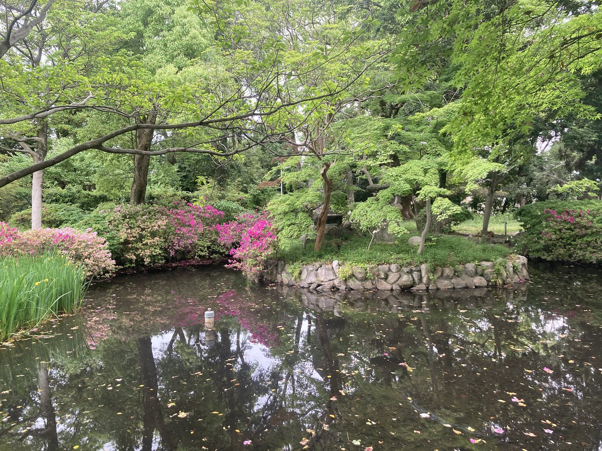 yorichan No.1103 tweet media