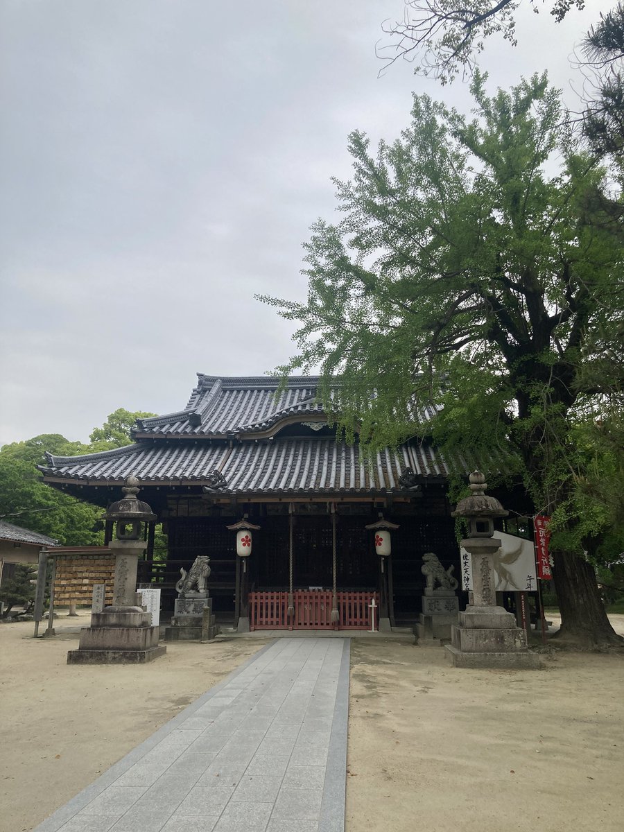 yorichan No.1103 tweet media