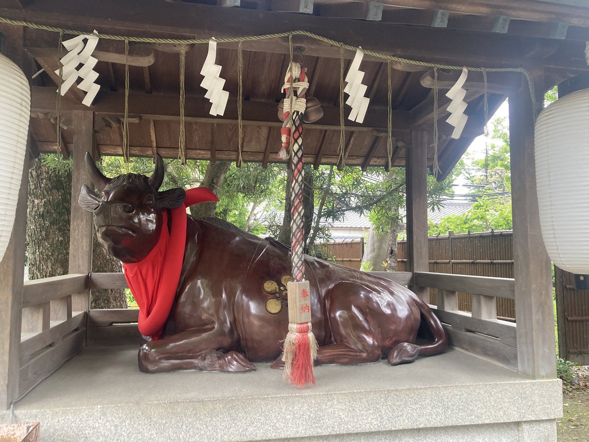 yorichan No.1103 tweet media