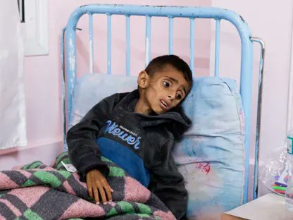 الشريف حاتم الحسينى tweet media