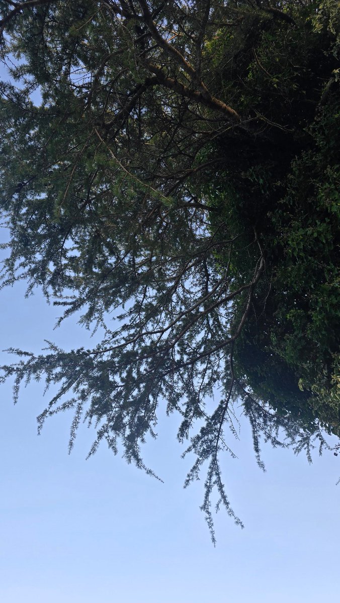 Kelly_GGG tweet media