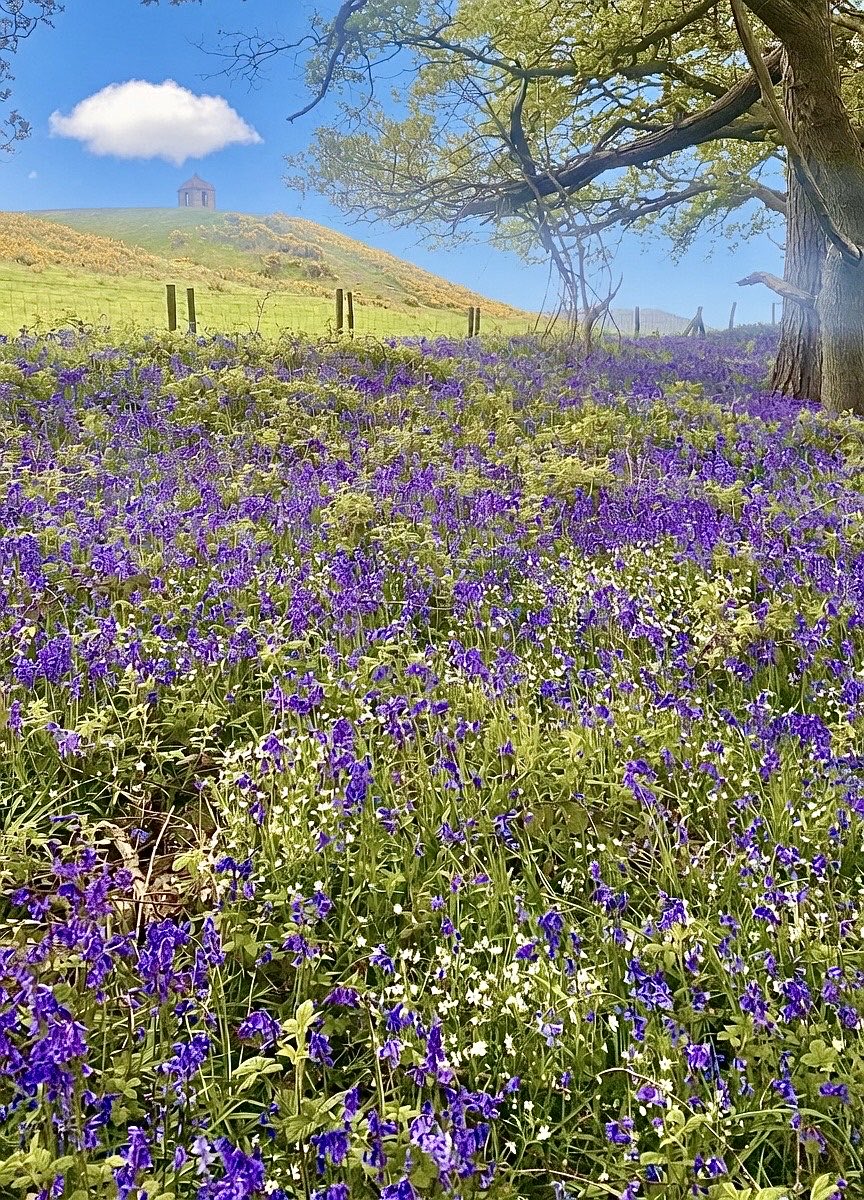 NickyJohnsonNY's tweet photo. Wishing you a wonderful Wednesday from North Yorkshire 😊 https://t.co/ycG4pX7mpc