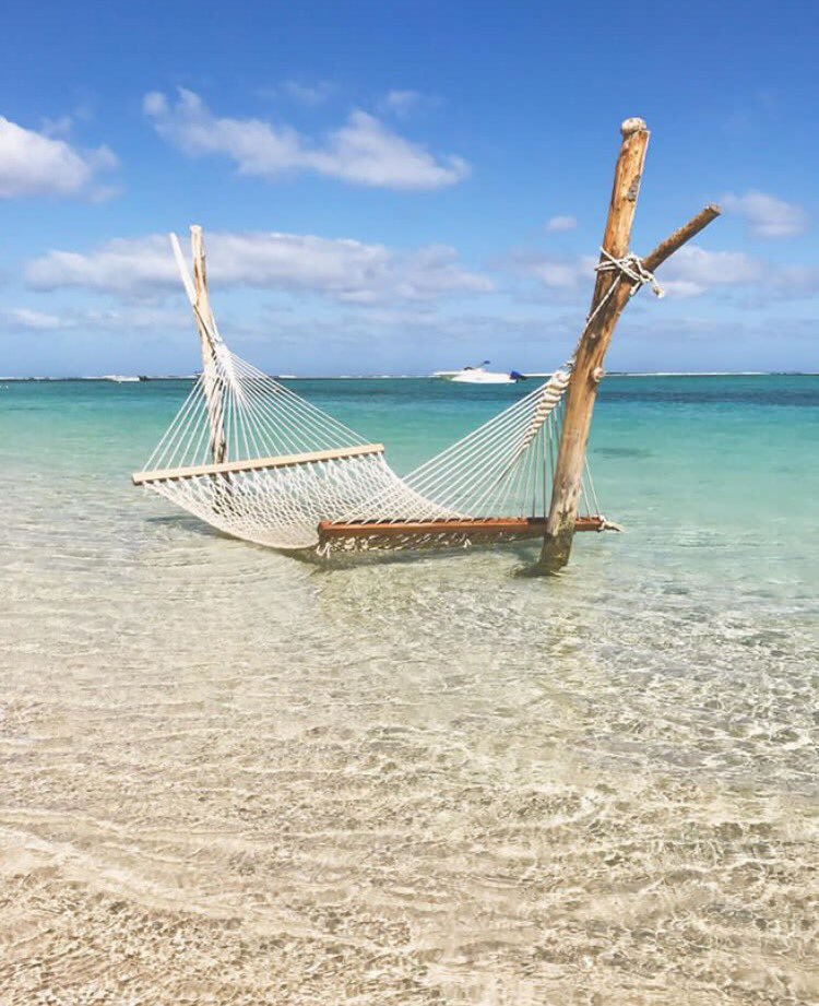 Mauritius Island tweet media