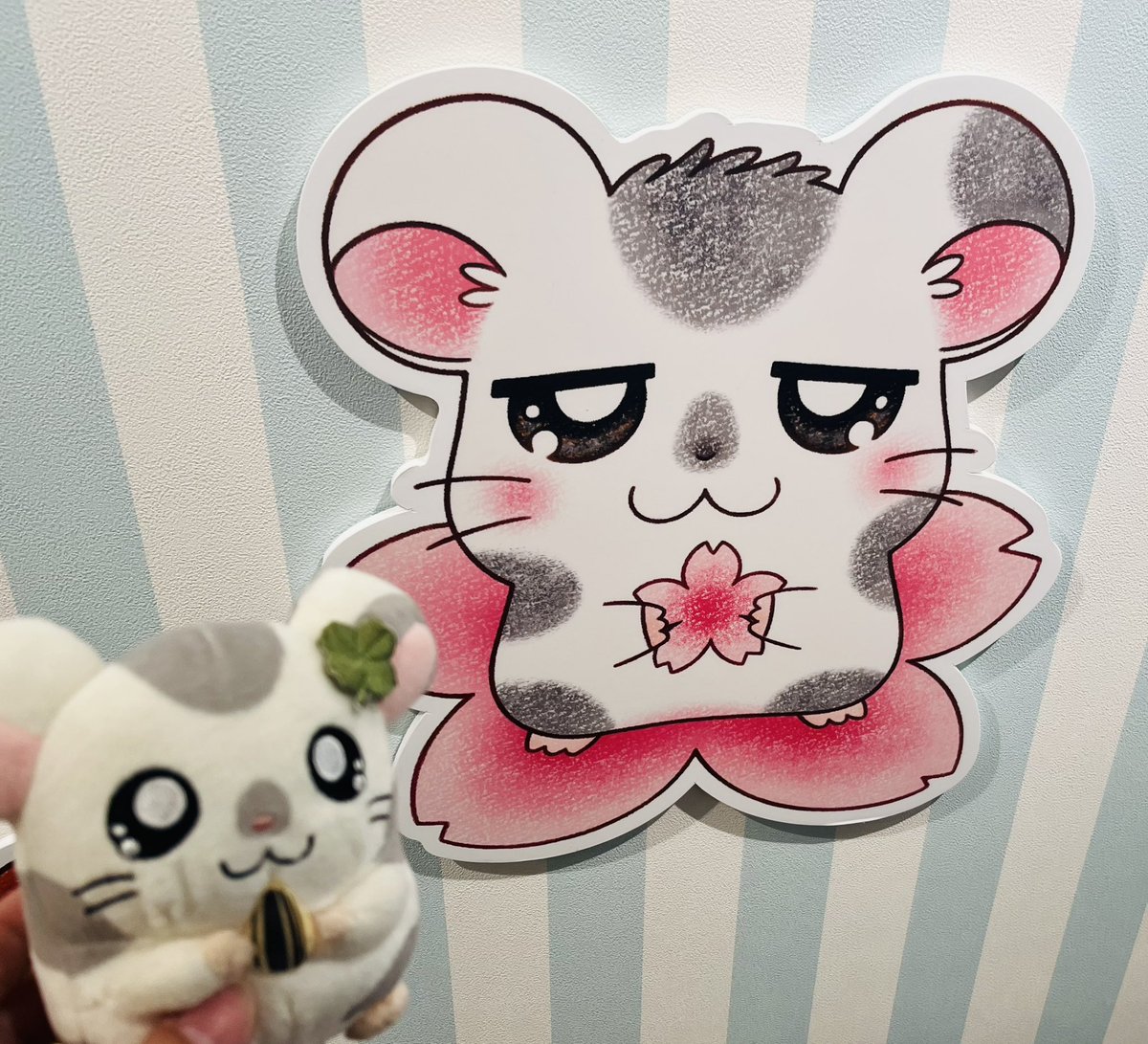 satona428's tweet photo. ハムタウンショップ初めて行きました!!
ありがとう世界…🐹🐹🐹 https://t.co/89zasytMAD