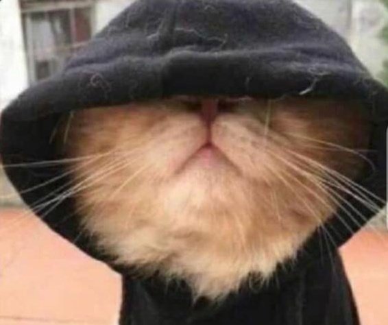 Crouch Ug tweet media