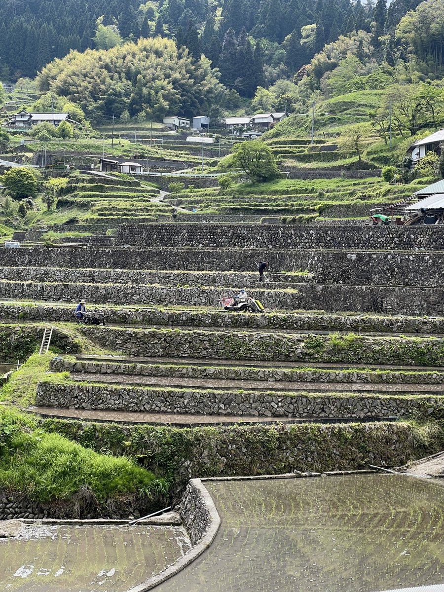 はっち@ラーメン大好きおじさん tweet media