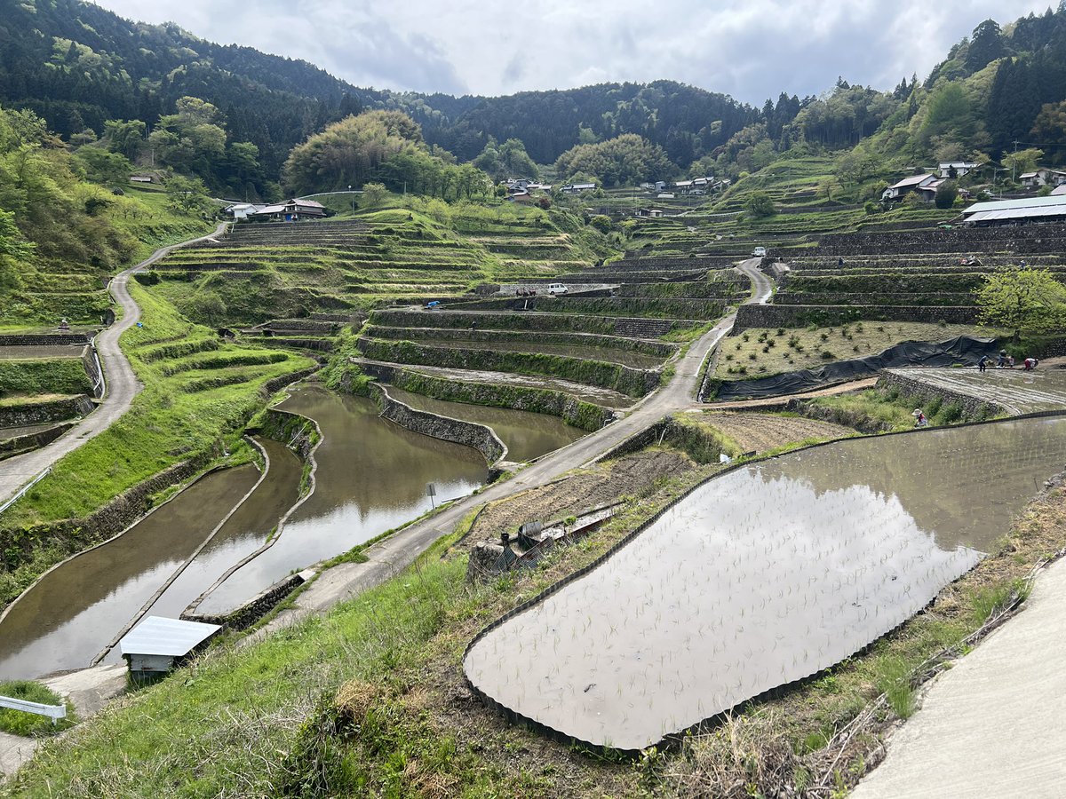 はっち@ラーメン大好きおじさん tweet media