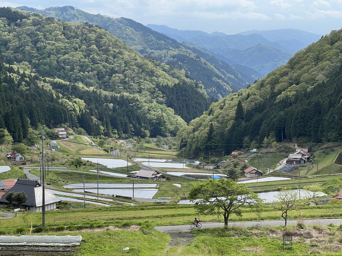 はっち@ラーメン大好きおじさん tweet media