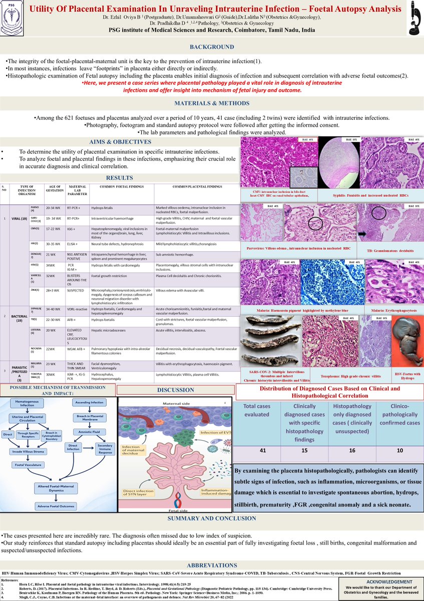 The British Assoc of Gynaecological Pathology tweet media