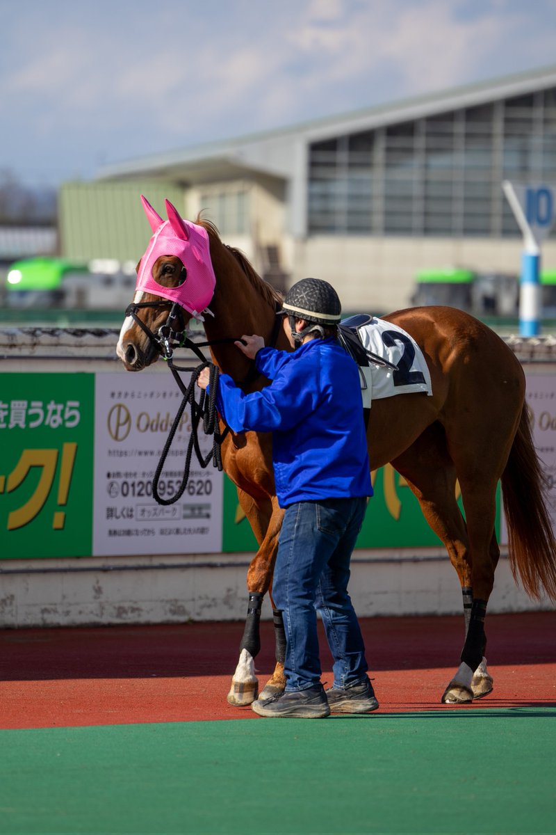 ほむん tweet media