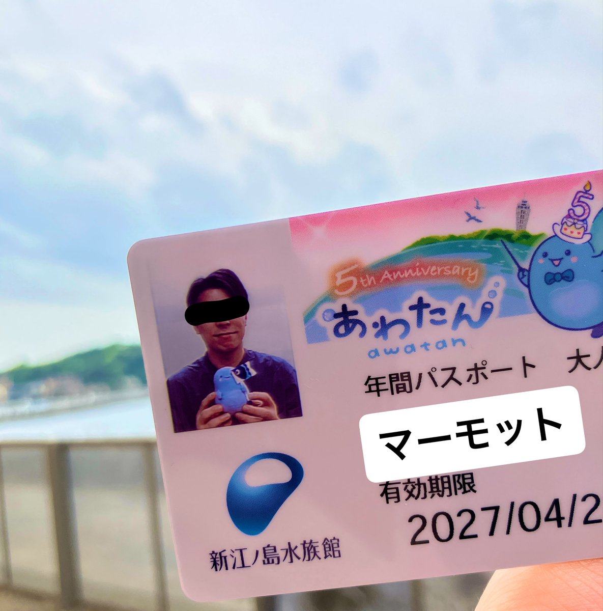 駒澤 大マーモット物理学 tweet media