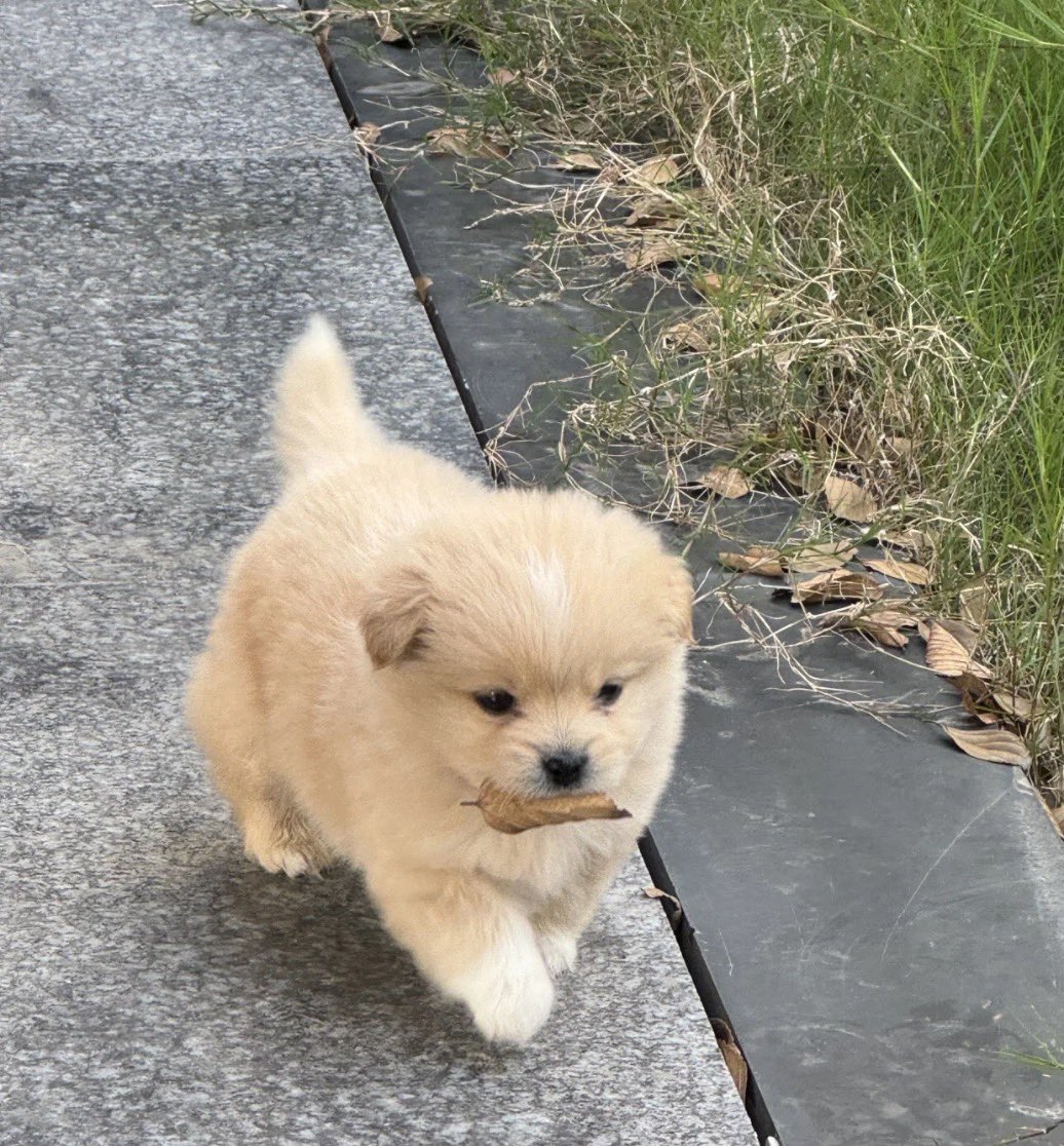 บ้บ tweet media