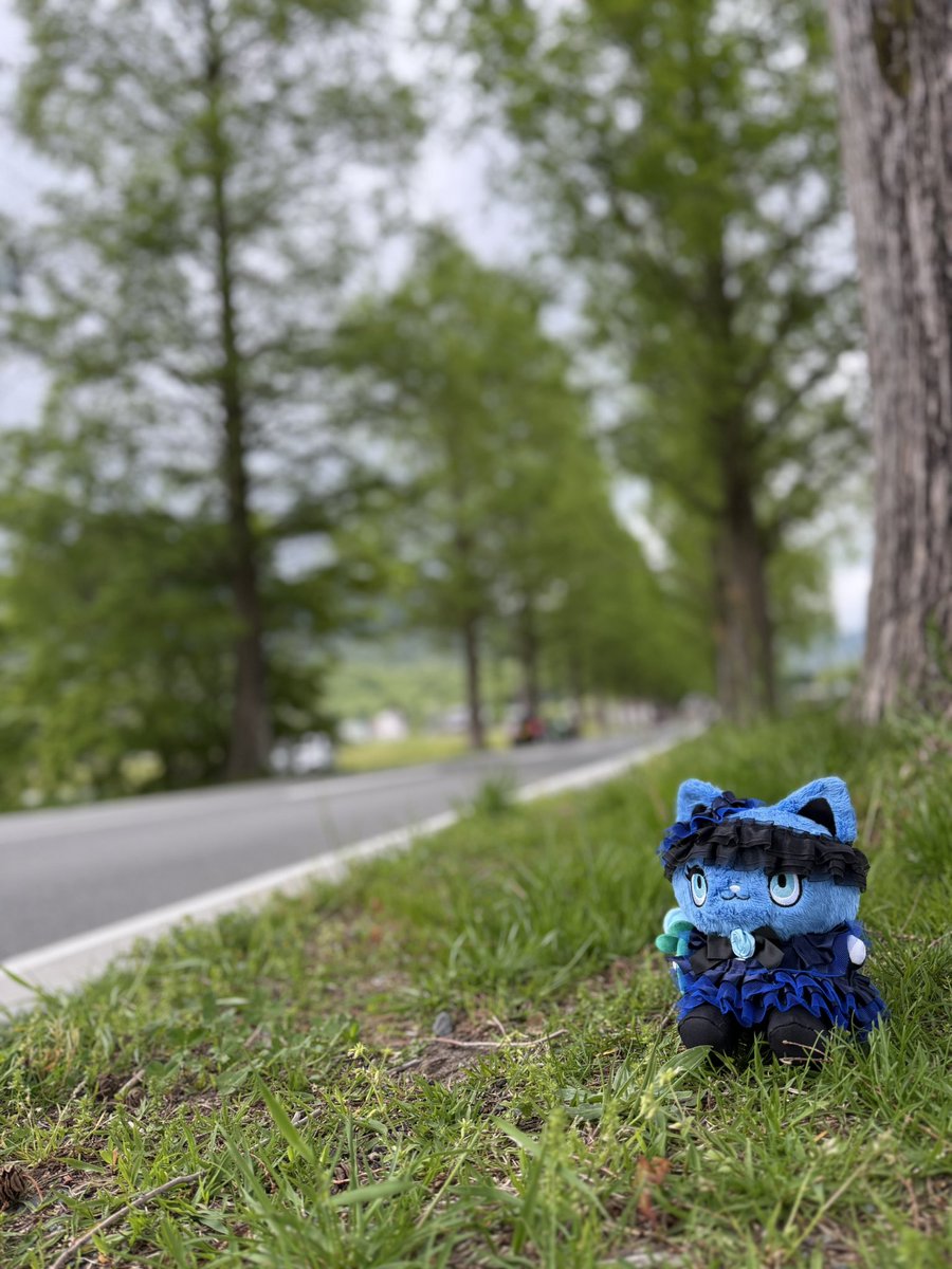 ジビー🥀 tweet media