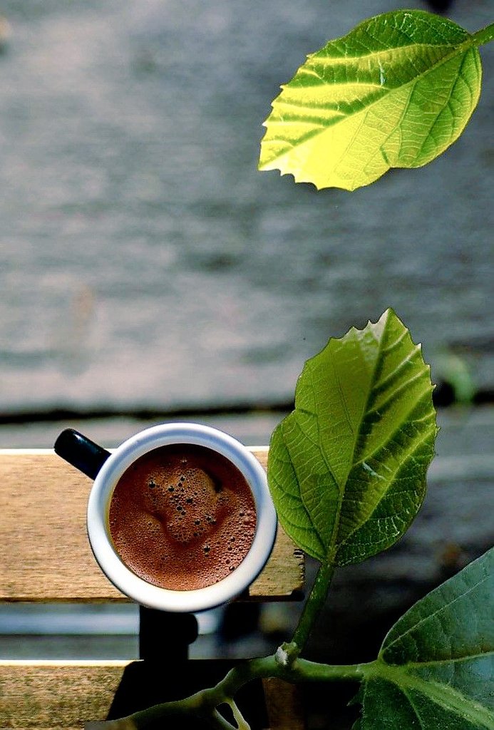 İntruder 🇹🇷 tweet media