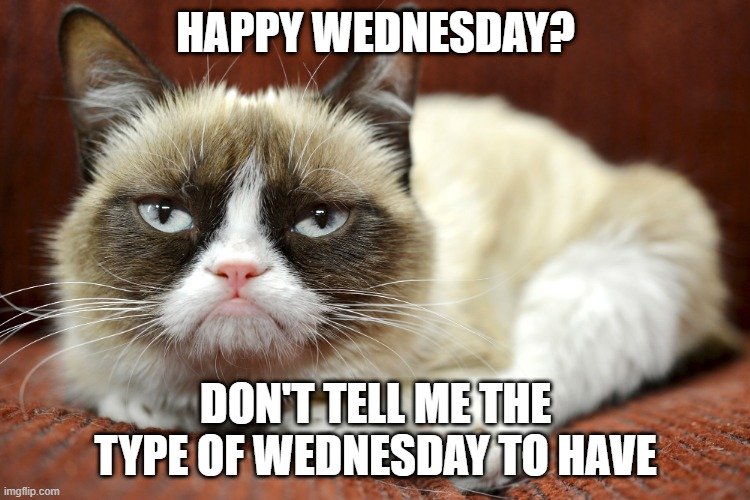 FlissZak's tweet image. I wouldn't dream of it!  Happy Wed... Whatever kind of Wednesday you want to have, boys and girls! 🤣

#WritingCommunity #poetrycommunity #readingcommunity   #GoodMorning #GrumpyCat #Wednesday