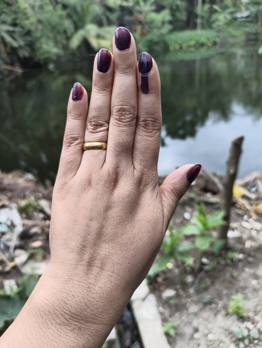 উগান্ডার Mussaenda tweet media