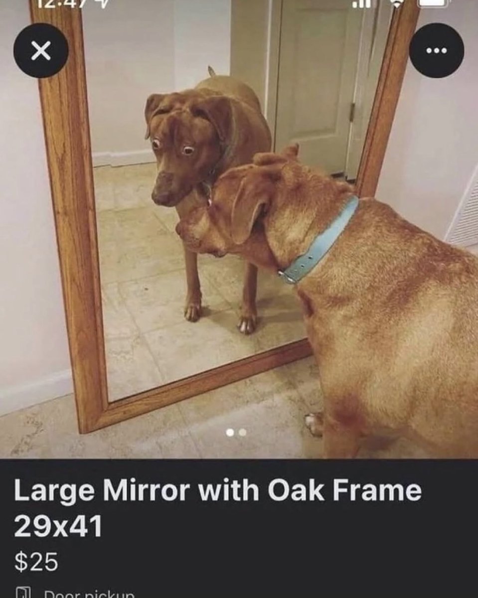 Respectful Memes tweet media