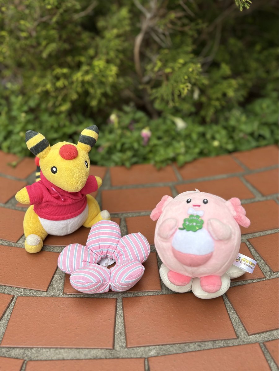 アリス tweet media