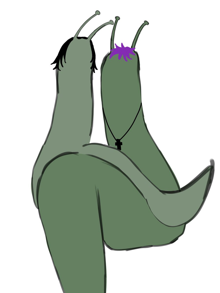 hansitww tweet media