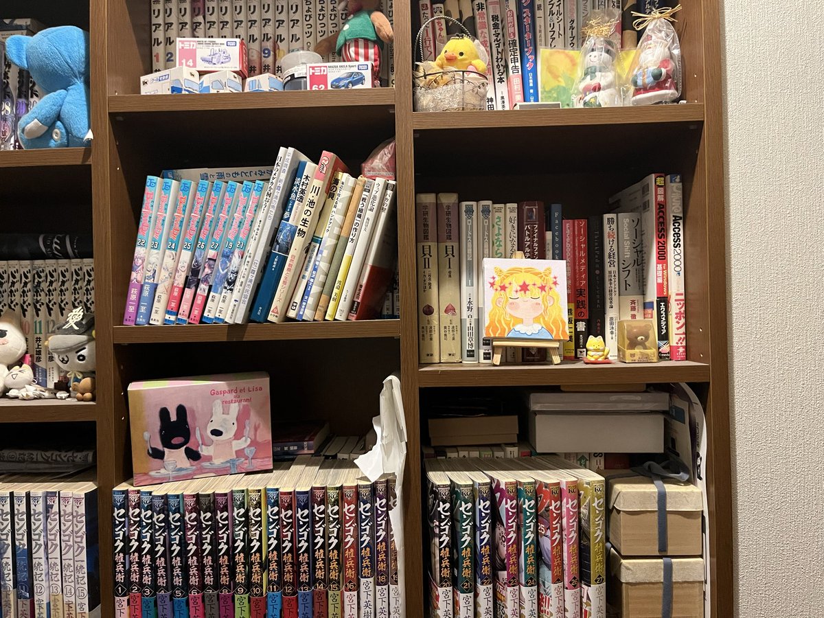 wara0315's tweet photo. @AiandCathy 毎朝眺める廊下に置いてます😄 https://t.co/mxl5uN7UJj