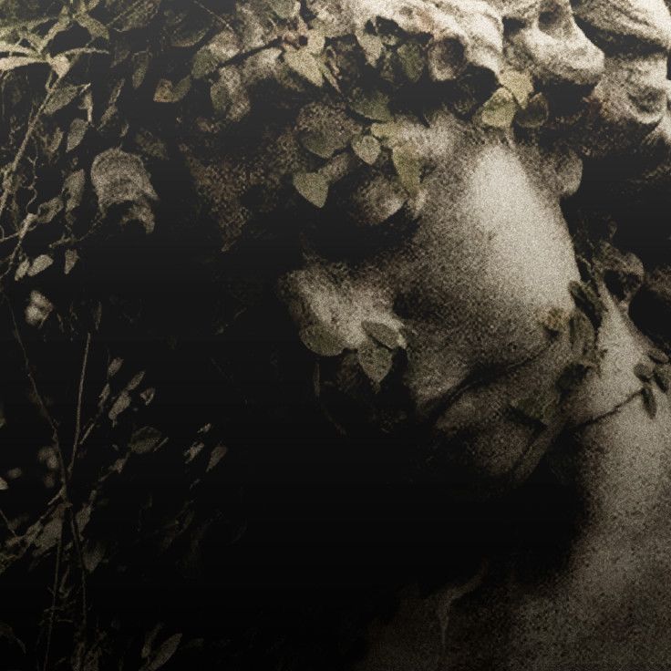 𝒮𝒶𝑔𝑒 tweet media