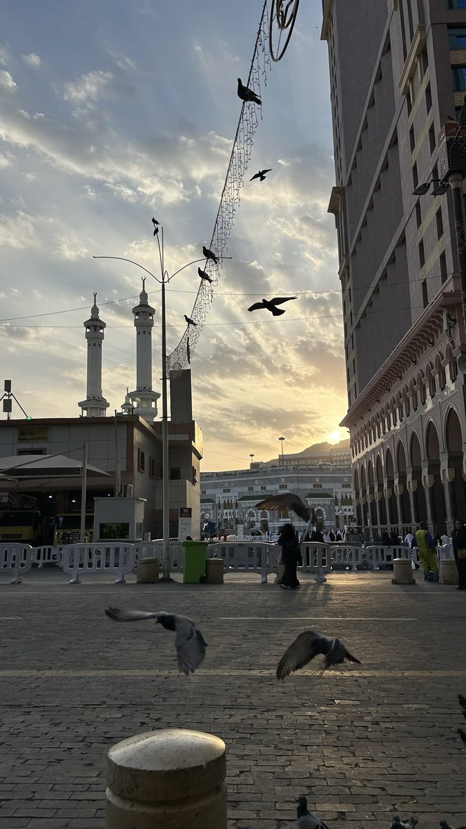 مَثْوى. tweet media