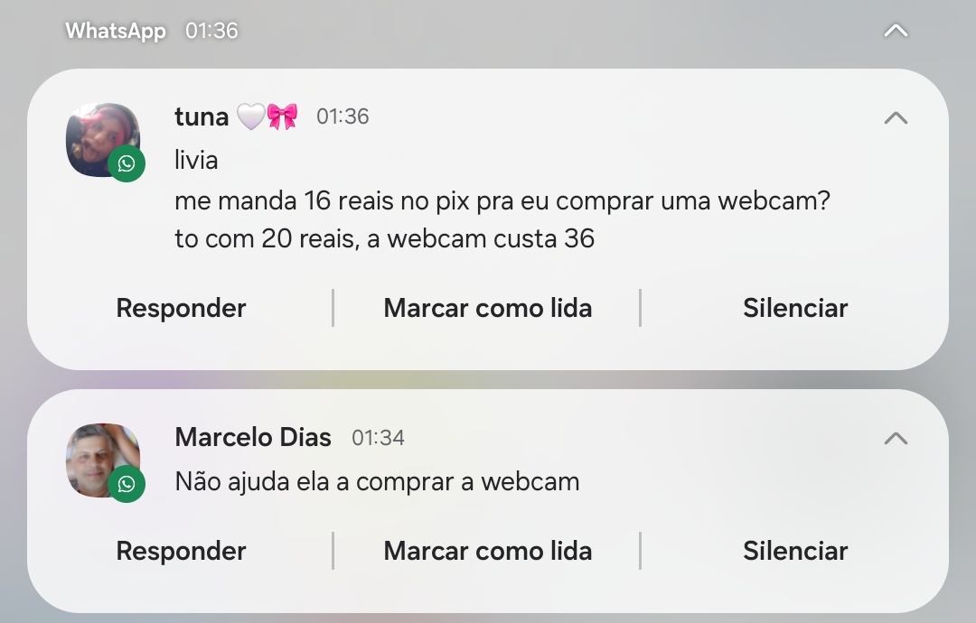 livia tweet media